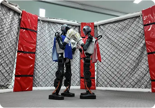 Ultimate Fighting Bots - Battle Humanoid Bots & Win!